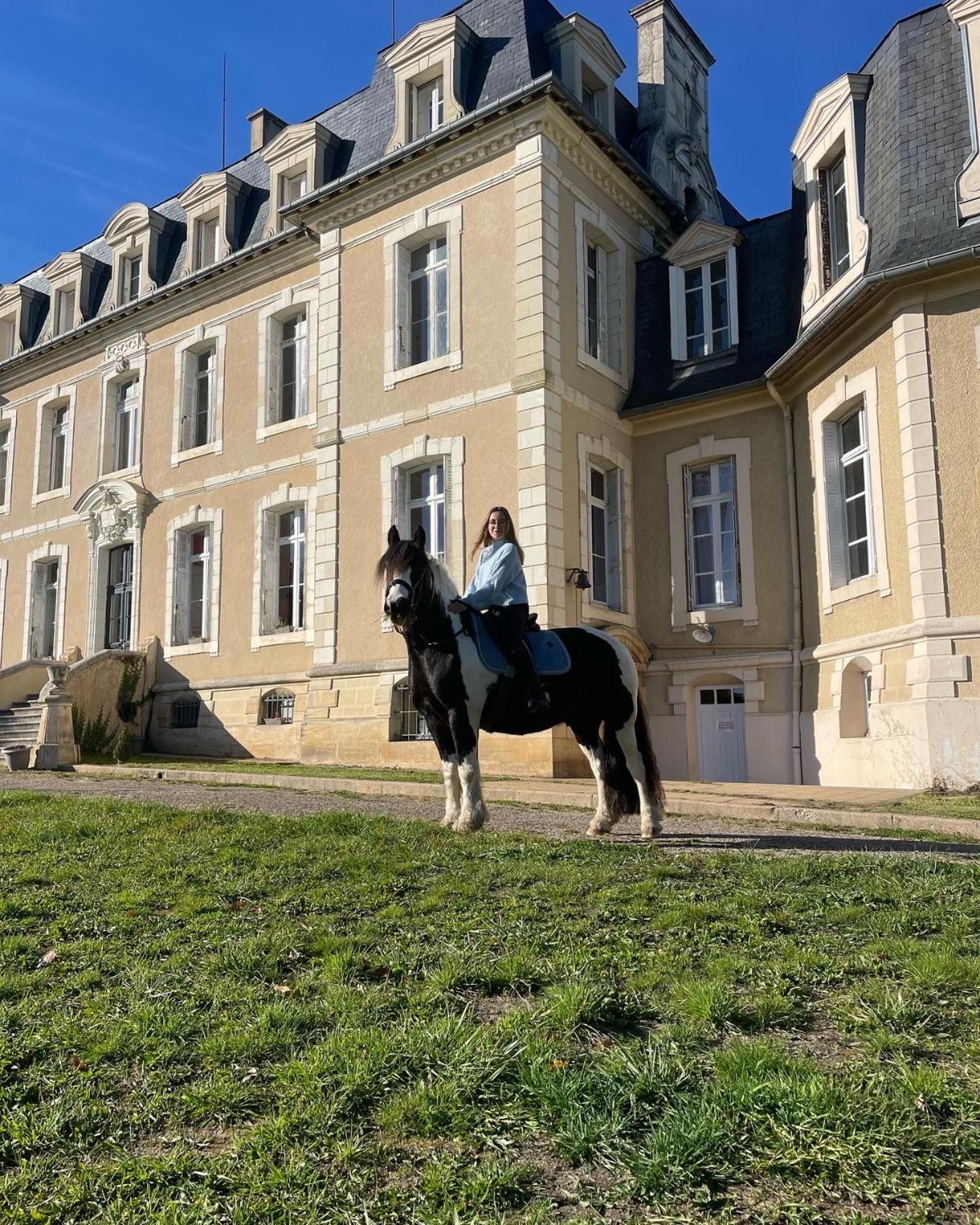 Chambre Zen Chateau De La Bouchatte Chazemais Exterior photo